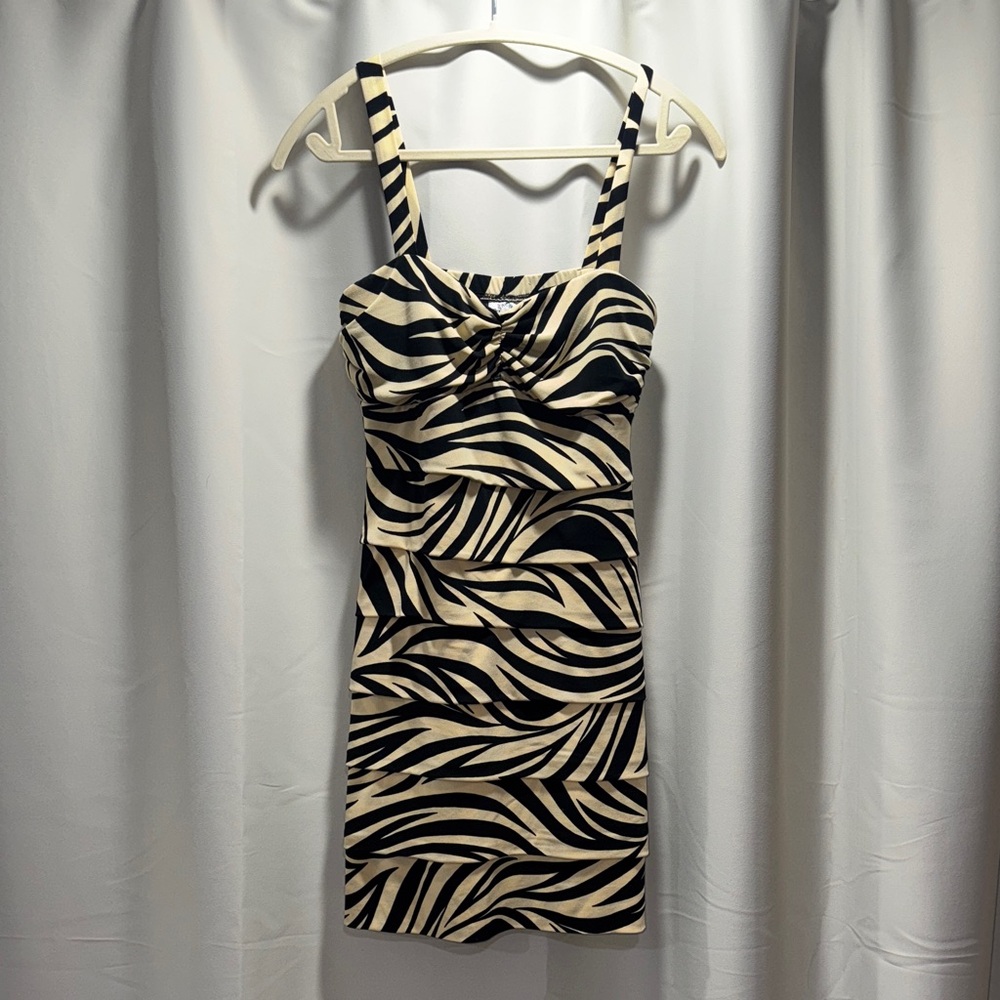 Sweet Storm Black and Cream Zebra Mini Dress